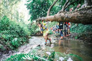 BIB: 
                            <button type="button" onclick="openModal(25475213)" class="btn btn-primary btn-sm float-right btn-popup" data-toggle="modal" data-target=".modal-high-quality">
                        <i class="fas fa-shopping-cart"></i> Add to Cart
                    </button>
                                            <button type="button" onclick="isThisMe(25475213, true)" class="btn btn-success btn-sm float-right btn-popup btn-isme hidden" data-toggle="tooltip" data-placement="bottom" title="นี่คือรูปของคุณใช่ไหม คลิกที่นี่เพื่อเอาเข้าอัลบั้ม">
                        <i class="fas fa-plus"></i> Add to album
                    </button>
                    <button type="button" onclick="isThisMe(25475213, false)" class="btn btn-warning btn-sm float-right btn-popup btn-isnotme hidden">
                        <i class="fas fa-ban"></i> Remove from album
                    </button>